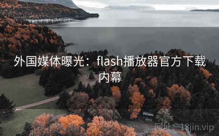 外国媒体曝光：flash播放器官方下载内幕