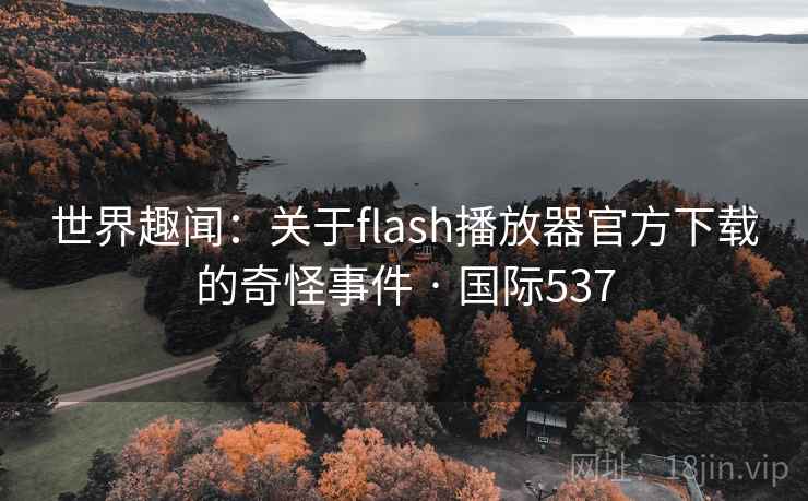 世界趣闻：关于flash播放器官方下载的奇怪事件 · 国际537
