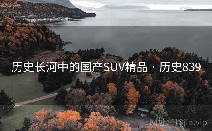 历史长河中的国产SUV精品 · 历史839  第1张
